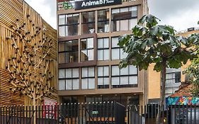 Anima 57